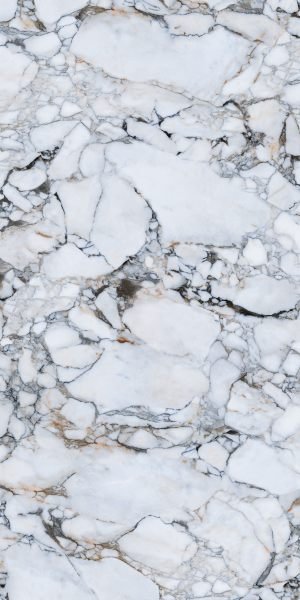 Calacatta Bianco Dorato Granite