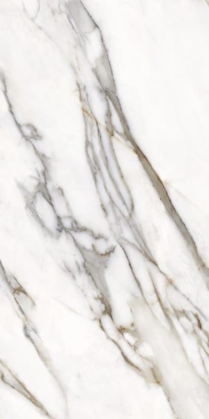 Calacatta Oro Venato 