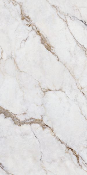 Calacatta Oro Venato Granite