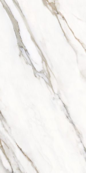Calacatta Oro Venato Carrara