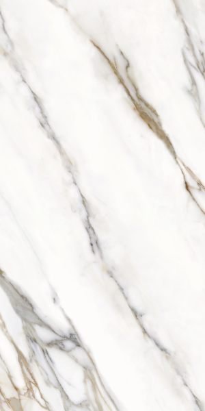 Calacatta Oro Venato Carrara