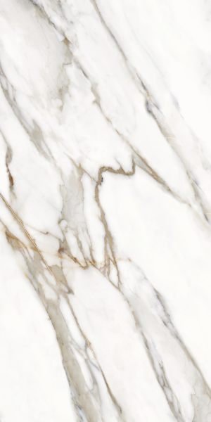 Calacatta Oro Venato Carrara