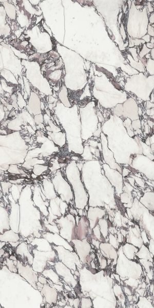 Calacatta Viola Prestige Marble