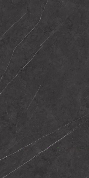 Nero Graphite Venato Granite
