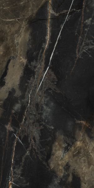 Nero Oro Selvaggio Granite