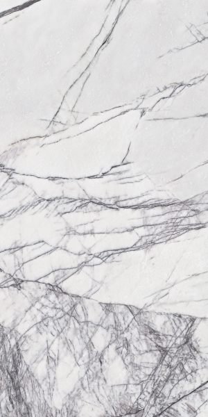 Statuario Venato Nero Carrara